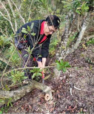 一起跨越看泰顺·共富故事丨在大山深处，看科技特派员栽下“科技之花”