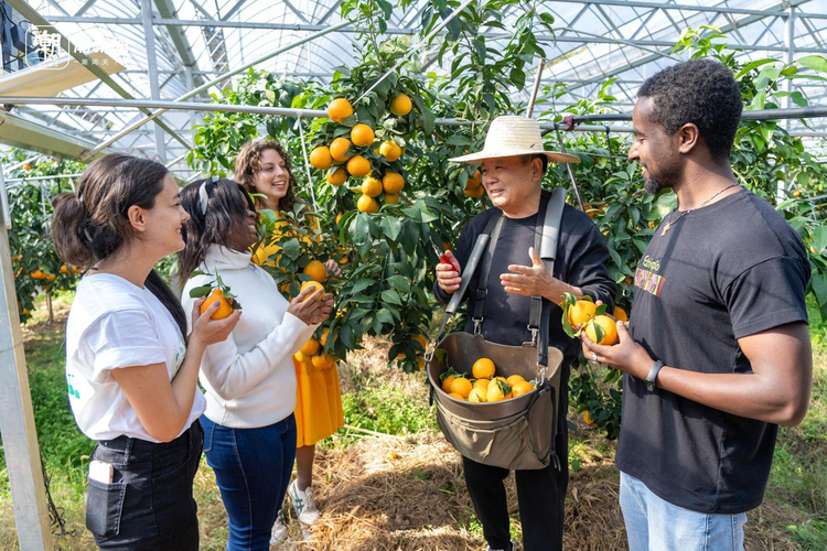 农村人出国留学好吗留学在线