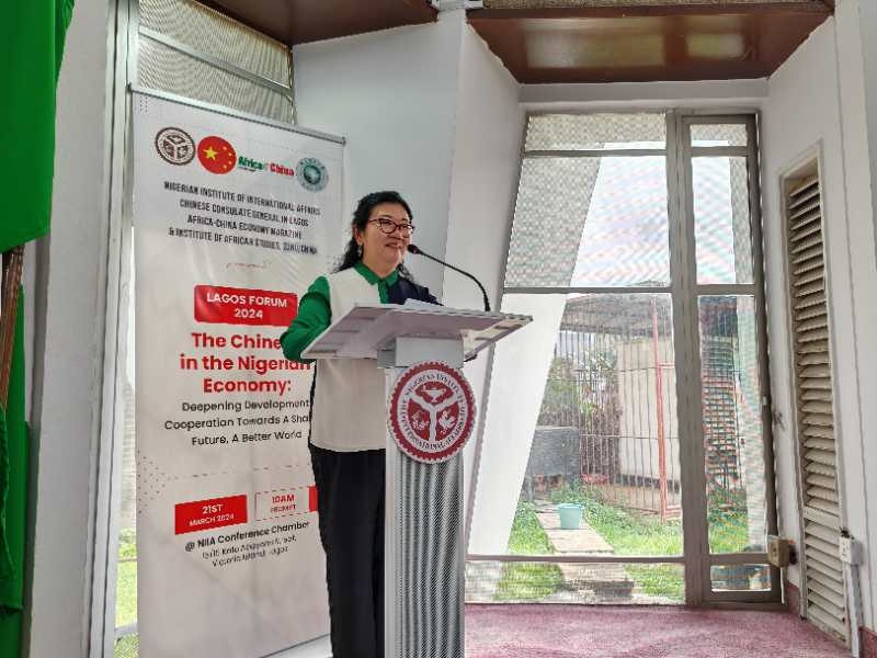 驻拉各斯总领馆总领事严宇清发表主旨演讲。驻拉各斯总领馆供图